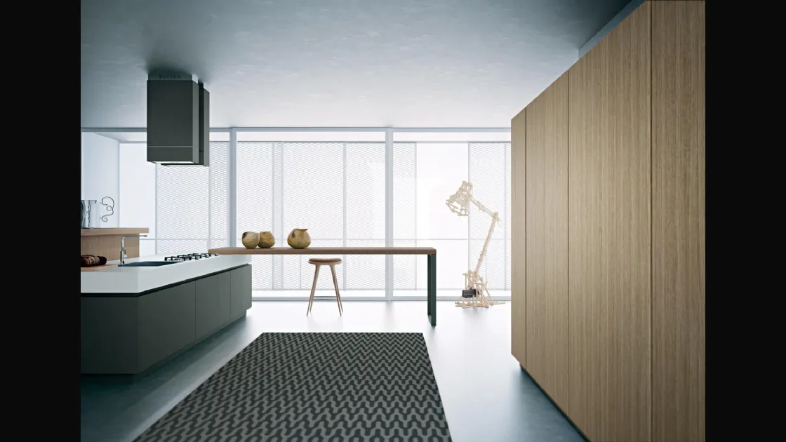 Cucina Moderna lineare Area 22 30 gradi 01 in laccato di Dibiesse